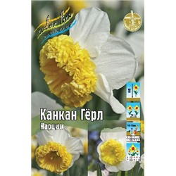 Канкан Гёрл (Narcissus Can Can Girl)