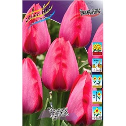 Трик (Tulipa Trick)