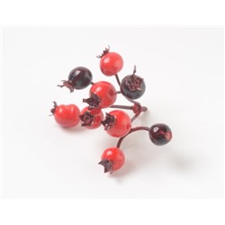 Ветка с ягодами шиповника зонтиком (1010237) красно-черный