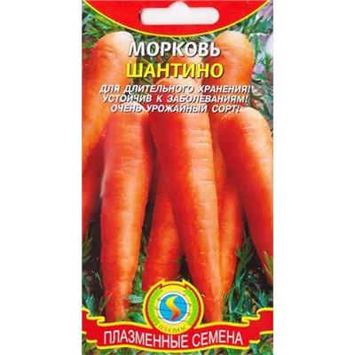 Морковь Шантино