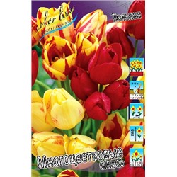 Многоцветковые, смесь (Tulipa Multi-flowering mixed)