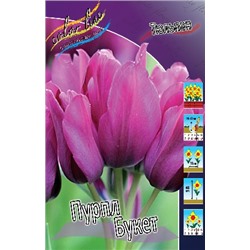 Пурпл Букет (Tulipa Purple Bouquet)