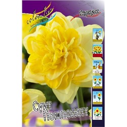 Свит Помпонетт (Narcissus Sweet Pomponette)