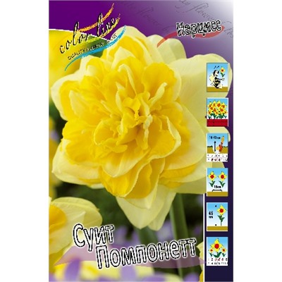 Свит Помпонетт (Narcissus Sweet Pomponette)