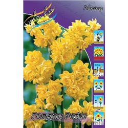Голден Рейн (Narcissus Golden Rain)