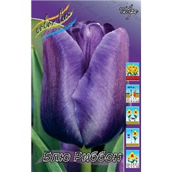 Блю Риббон (Tulipa Blue Ribbon)