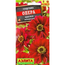 Георгина Опера Красная