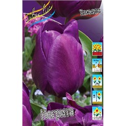 Негрита (Tulipa Negrita)