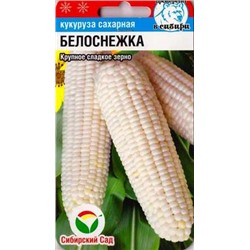 Кукуруза Белоснежка