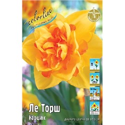 Ле Торш (Narcissus Le Torch)
