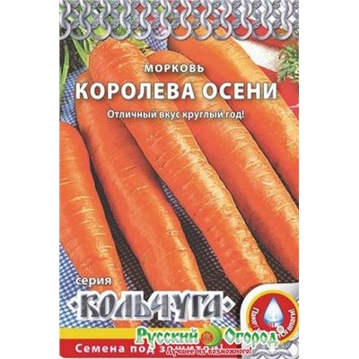 Морковь Королева Осени кольчуга