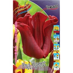 Рэд Дресс (Tulipa Red Dress)
