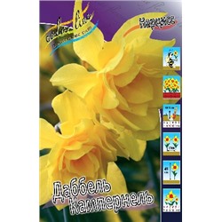 Дабл Кампернель (Narcissus Dubbele Campernelle)