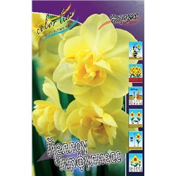 Йеллоу Чирфулнесс (Narcissus Yellow Cheerfulness)
