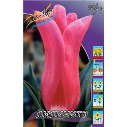 Лили Нита (Tulipa Lilinita)