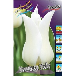 Баллада Уйат (Tulipa Ballade White)